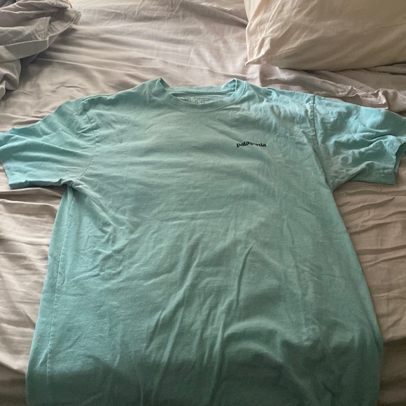 Sea Green Patagonia T-shirt - Picture 1 of 2